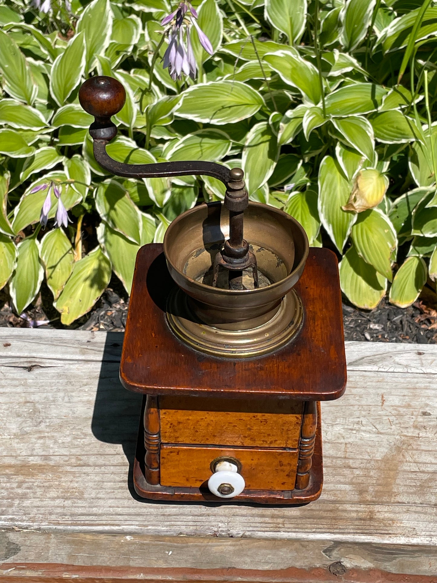 Circa 1850-1880 Coffee Grinder