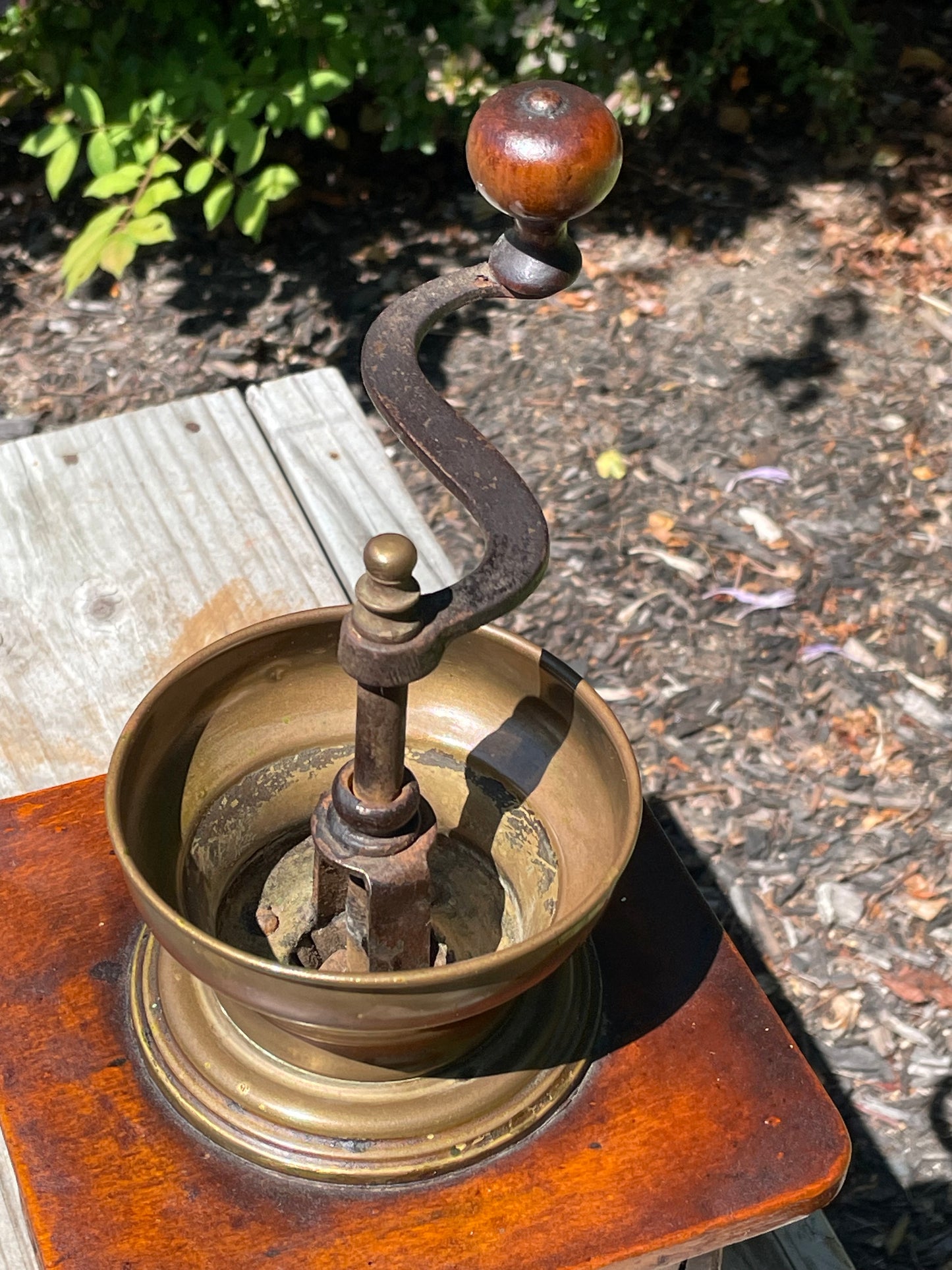 Circa 1850-1880 Coffee Grinder