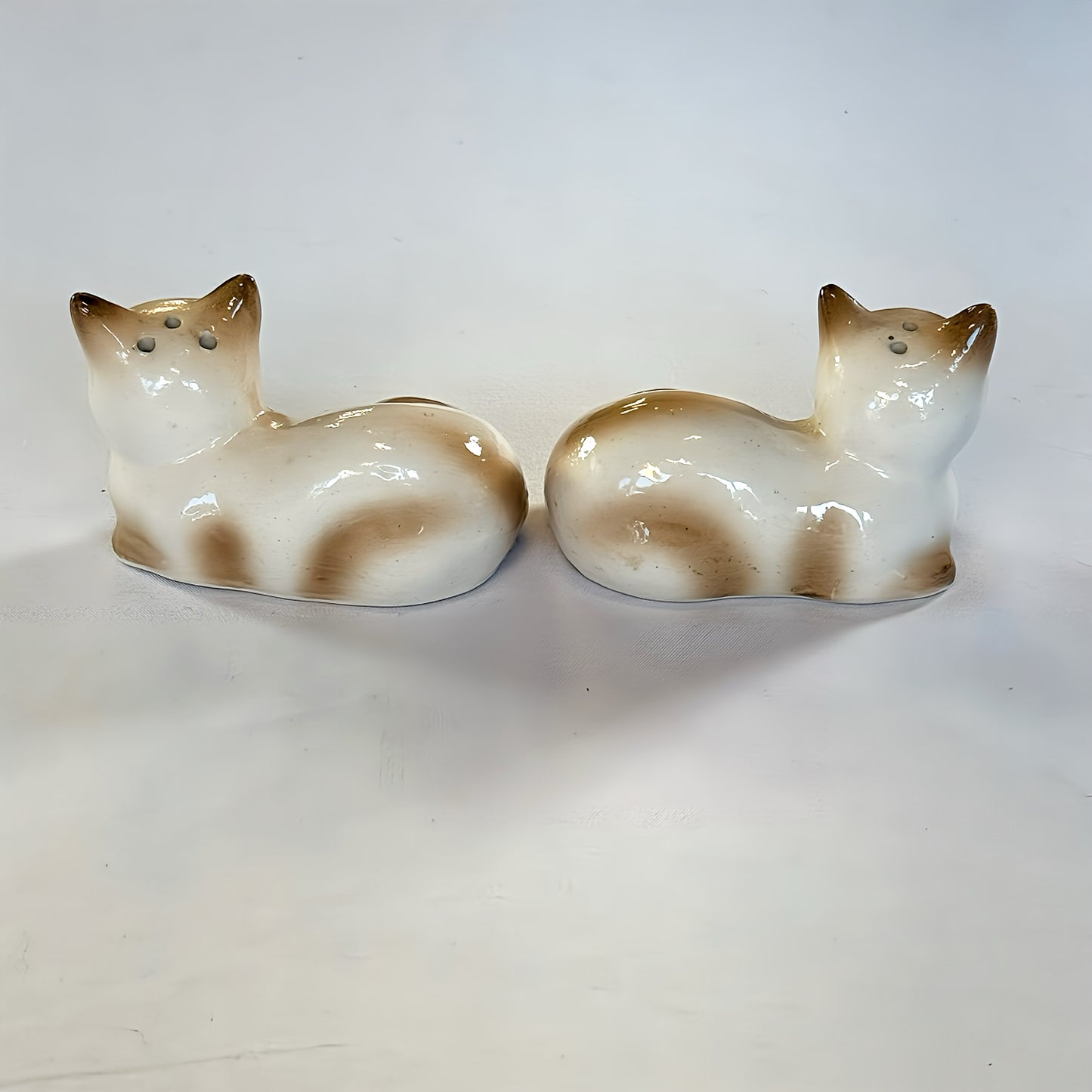 Salt & Pepper Figurine Collextion