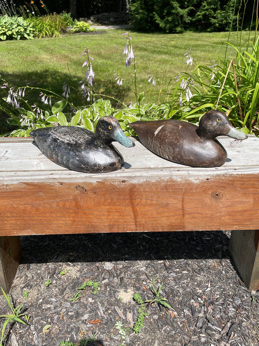 Pair of Wisconsin Blue Bill Duck Decoys