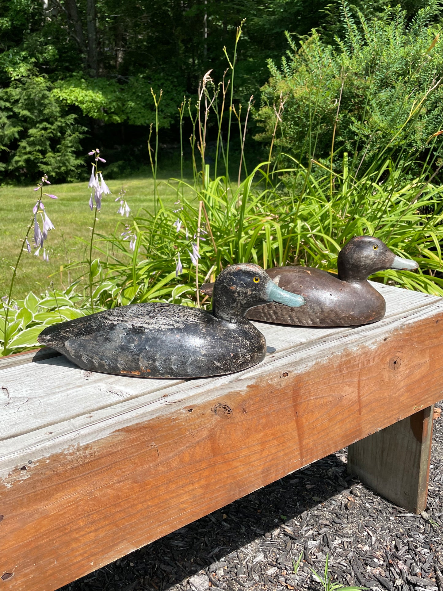 Pair of Wisconsin Blue Bill Duck Decoys