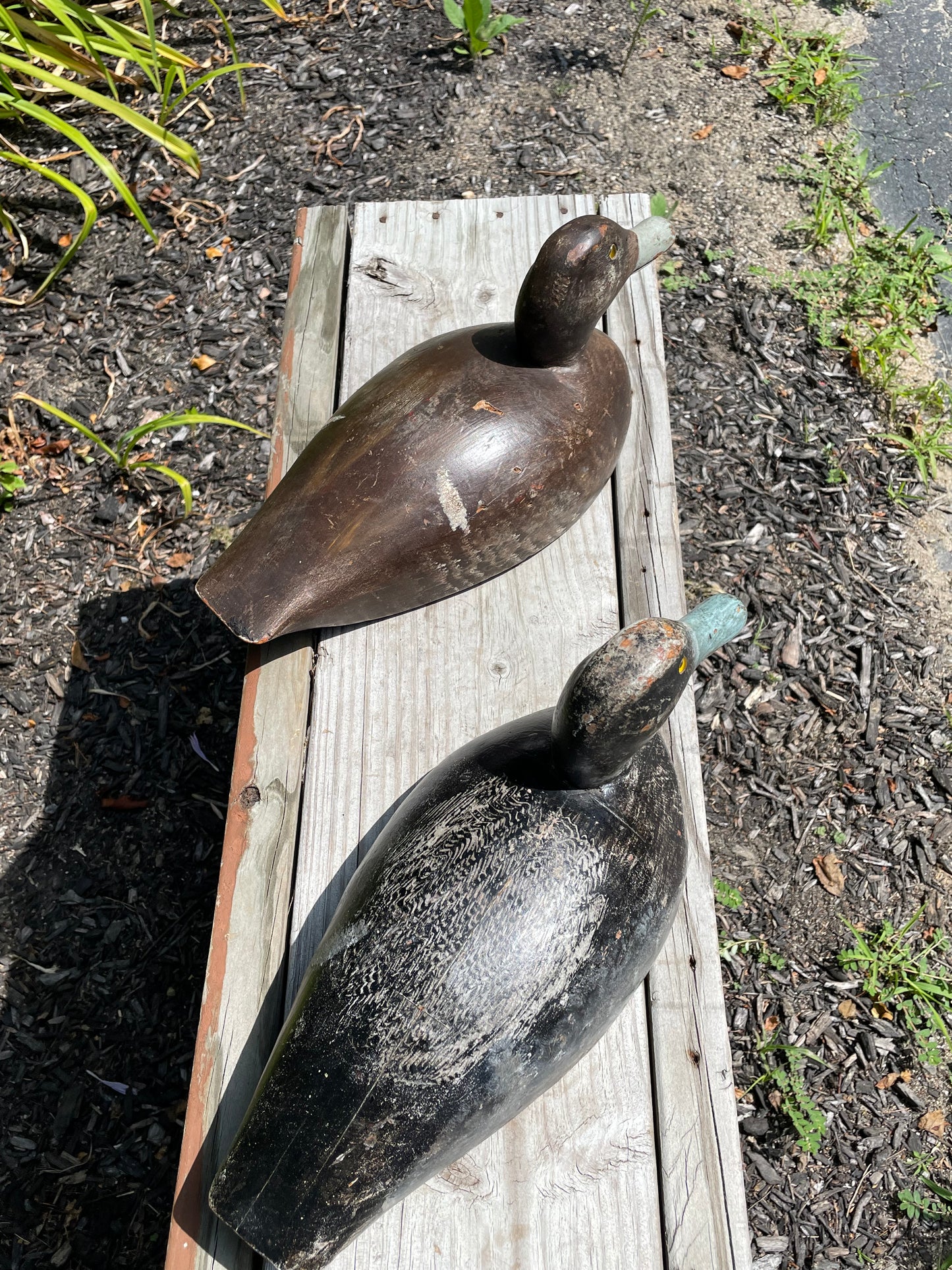 Pair of Wisconsin Blue Bill Duck Decoys