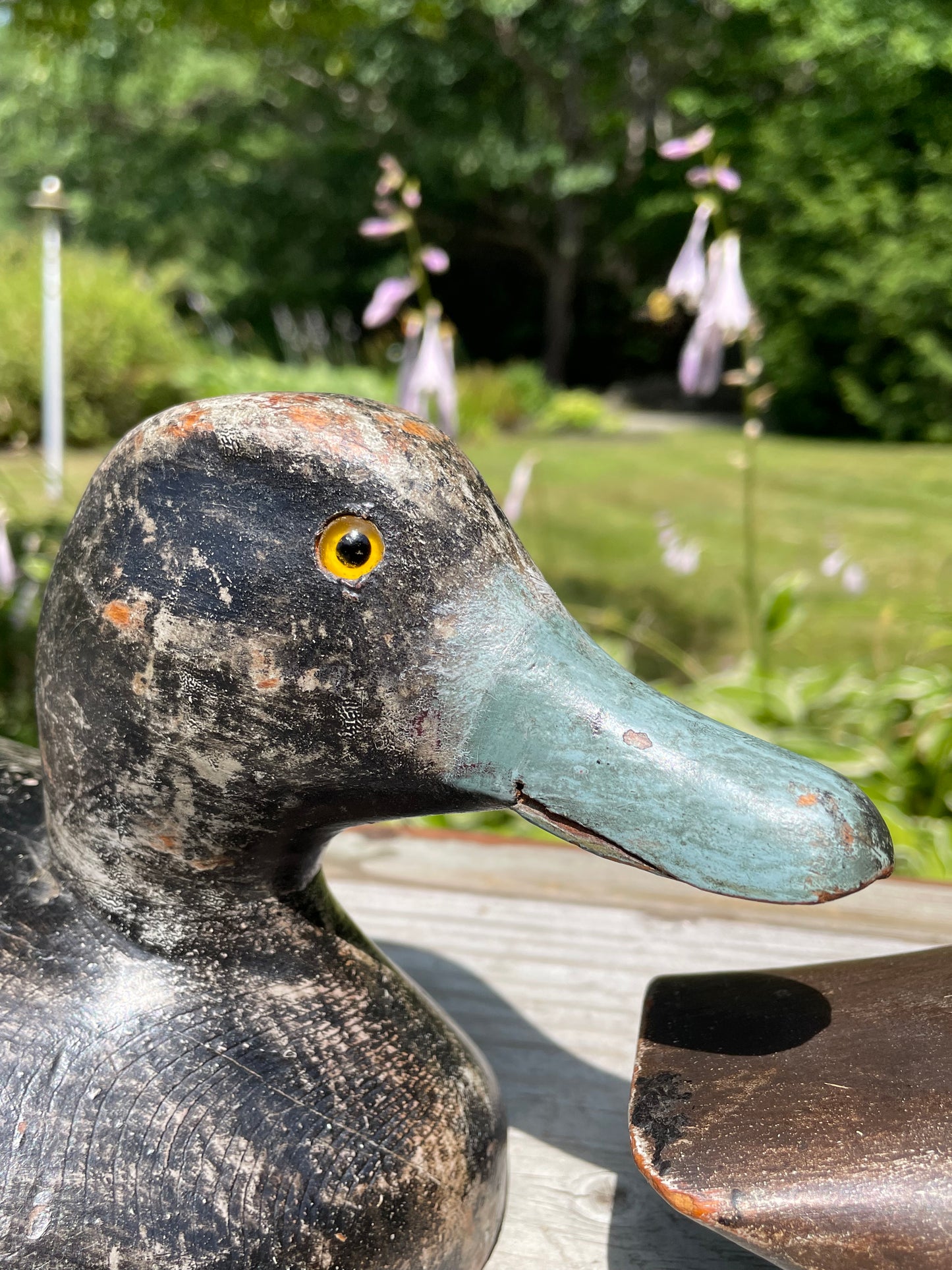 Pair of Wisconsin Blue Bill Duck Decoys