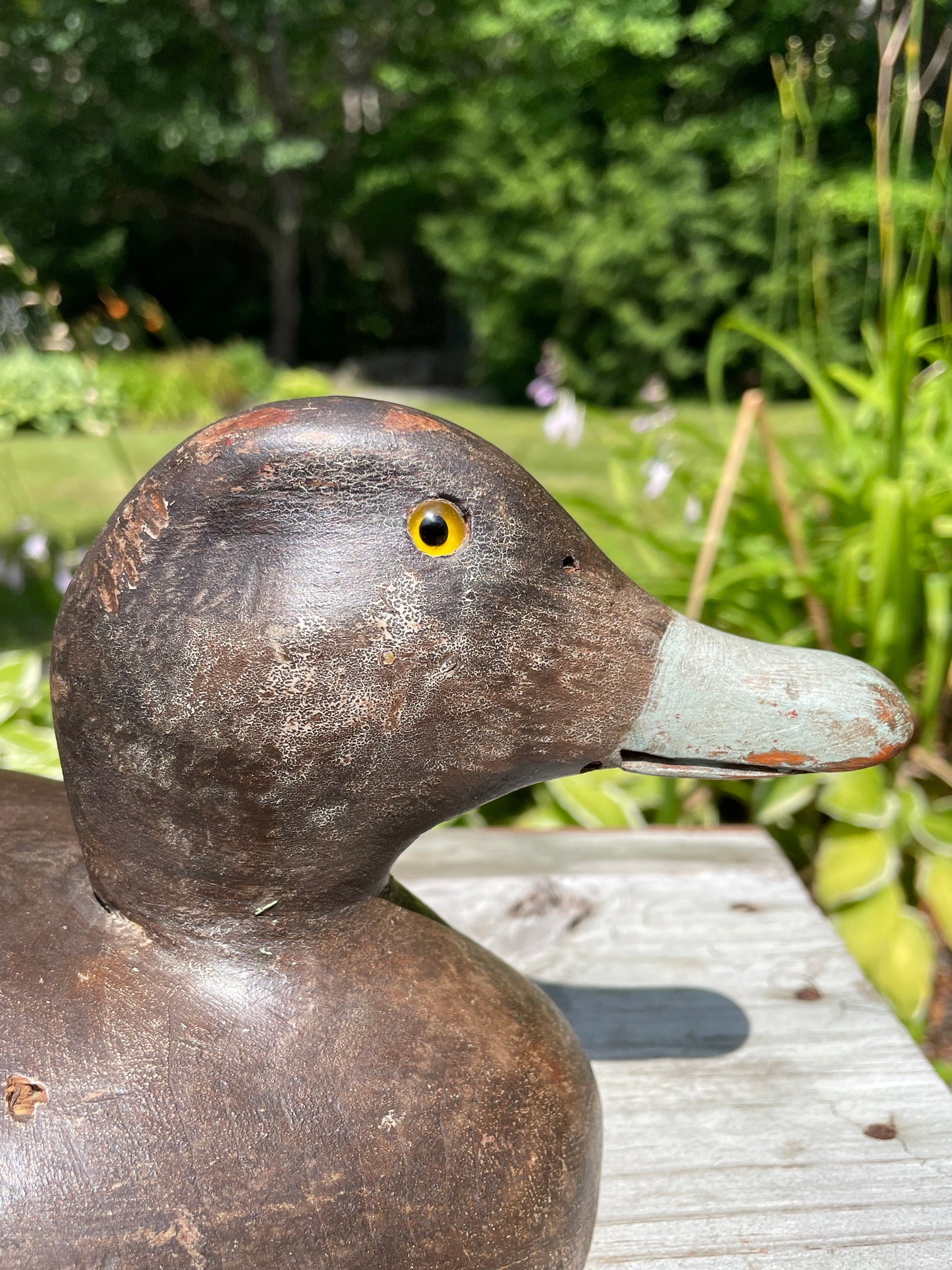 Pair of Wisconsin Blue Bill Duck Decoys