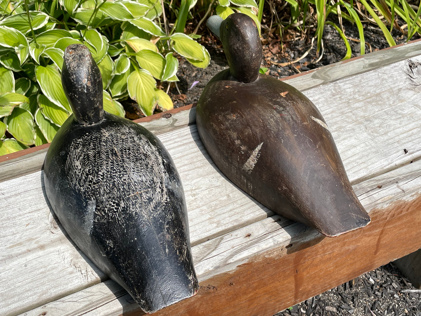 Pair of Wisconsin Blue Bill Duck Decoys