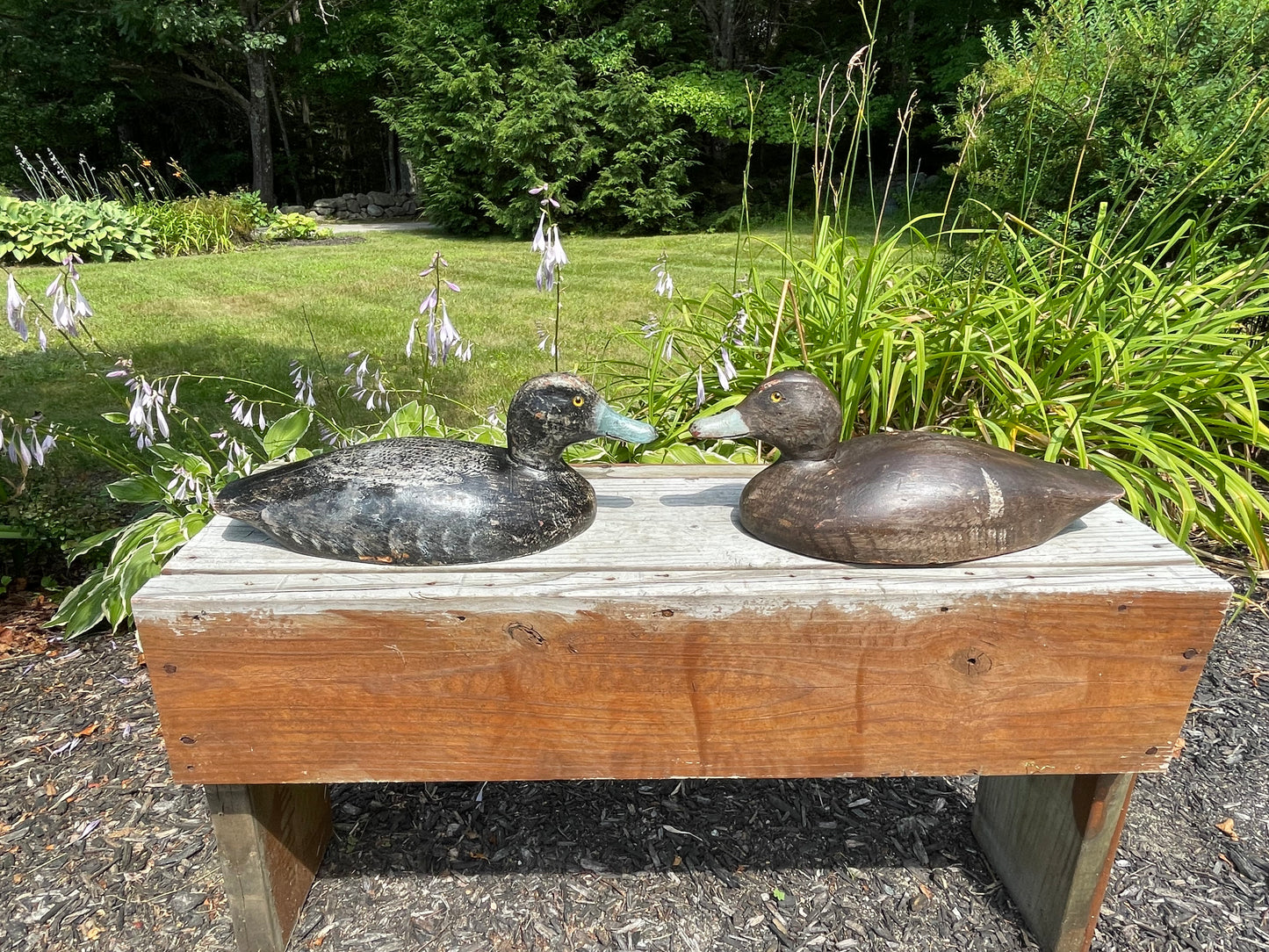 Pair of Wisconsin Blue Bill Duck Decoys