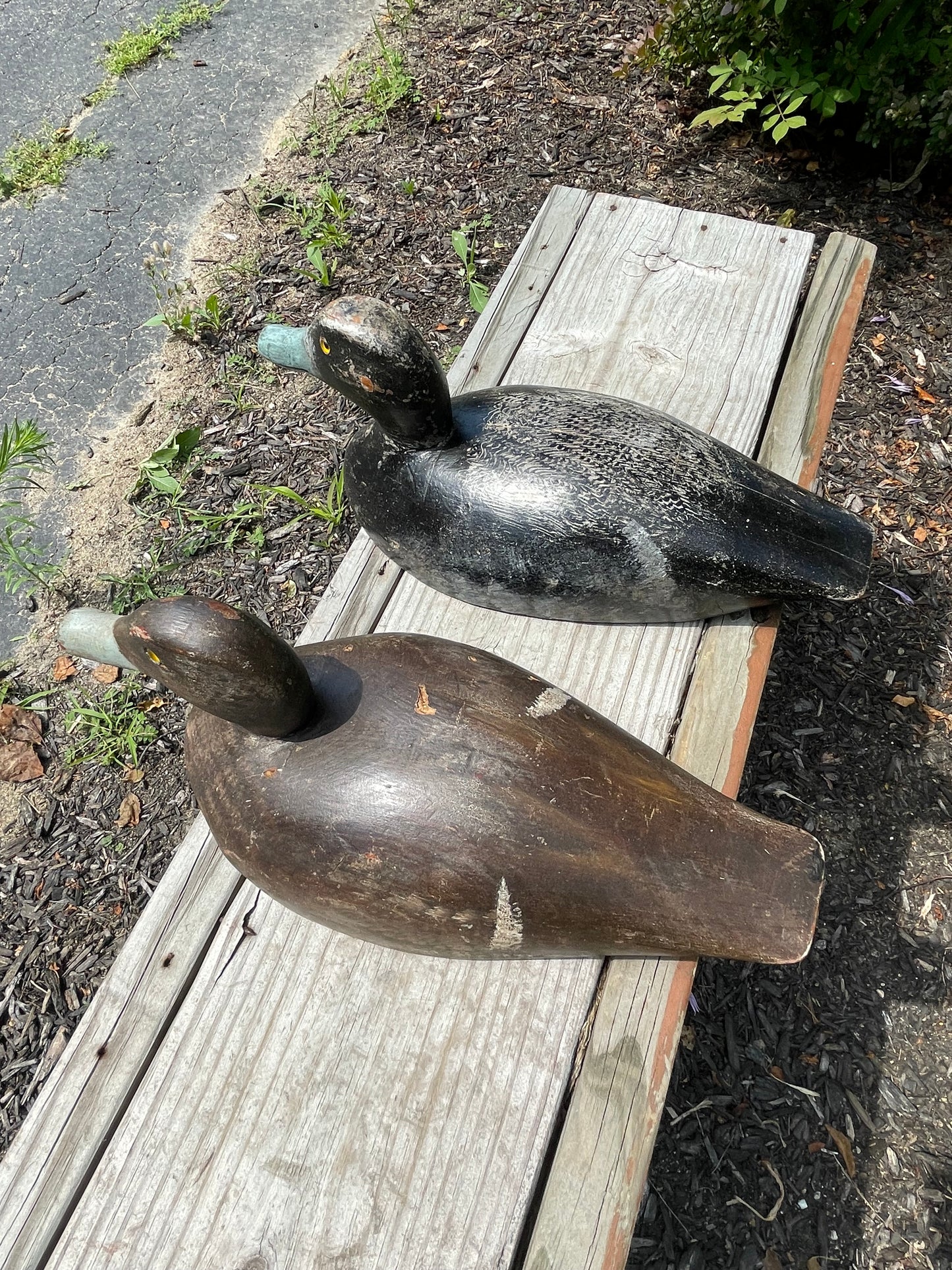 Pair of Wisconsin Blue Bill Duck Decoys