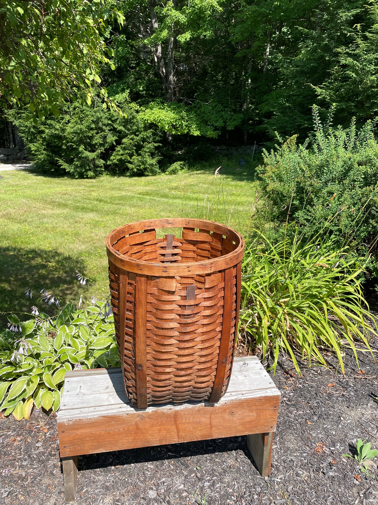 Early 1900s Canoe Ash-splint Storage Basket