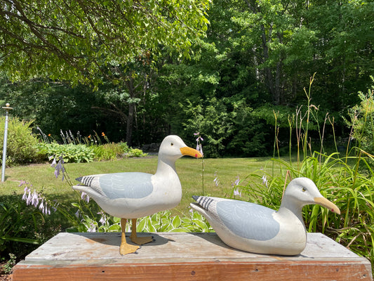 Pair of Wild Fowler Seagull Confidence Decoys 1960s