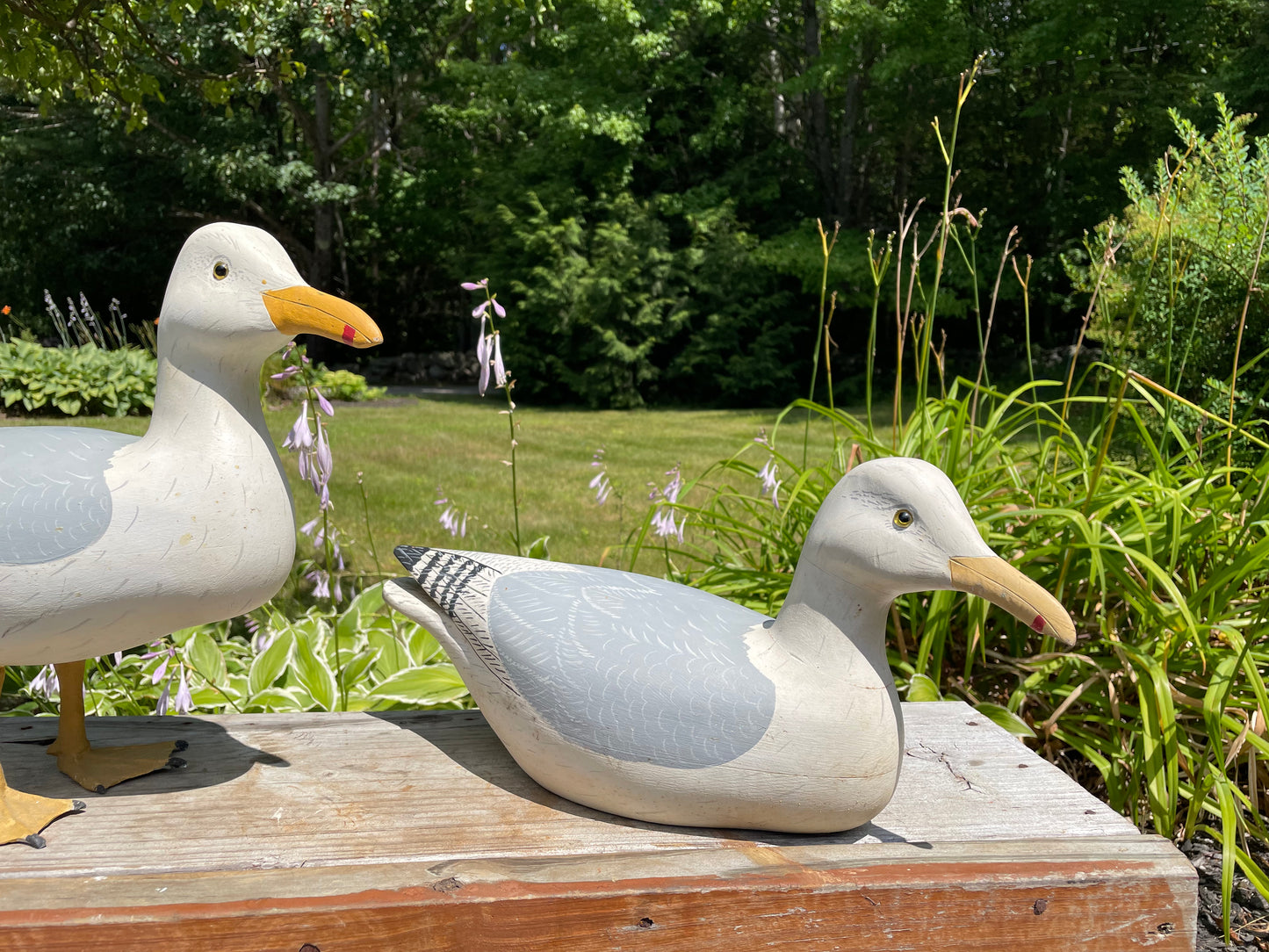 Pair of Wild Fowler Seagull Confidence Decoys 1960s