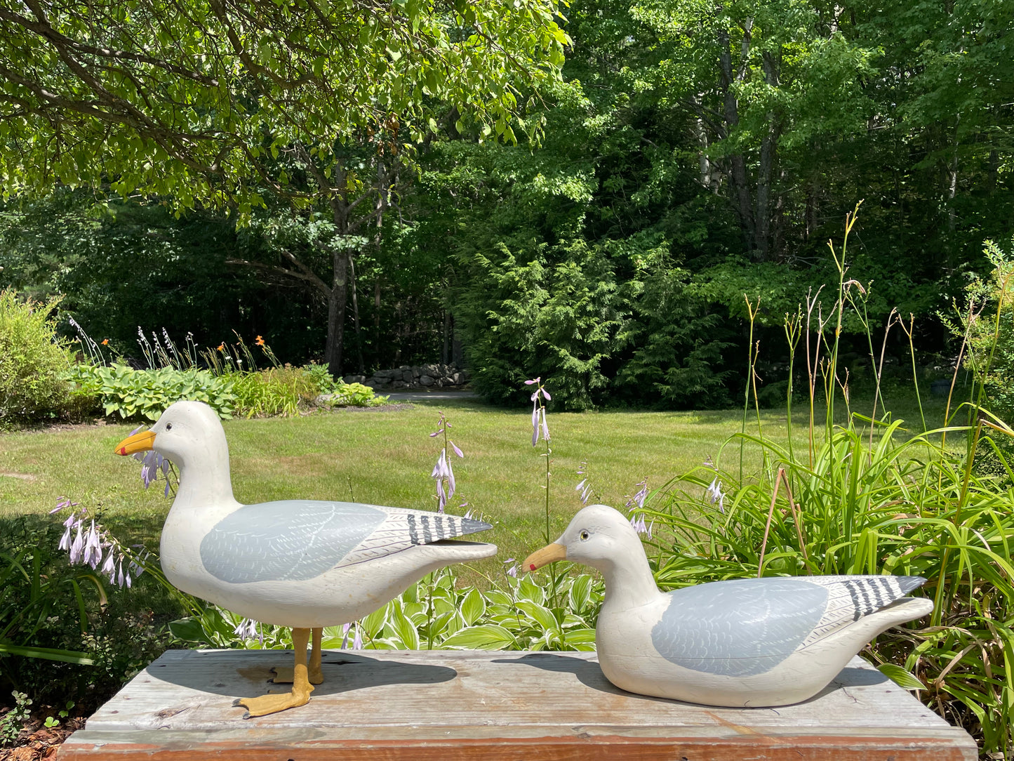 Pair of Wild Fowler Seagull Confidence Decoys 1960s