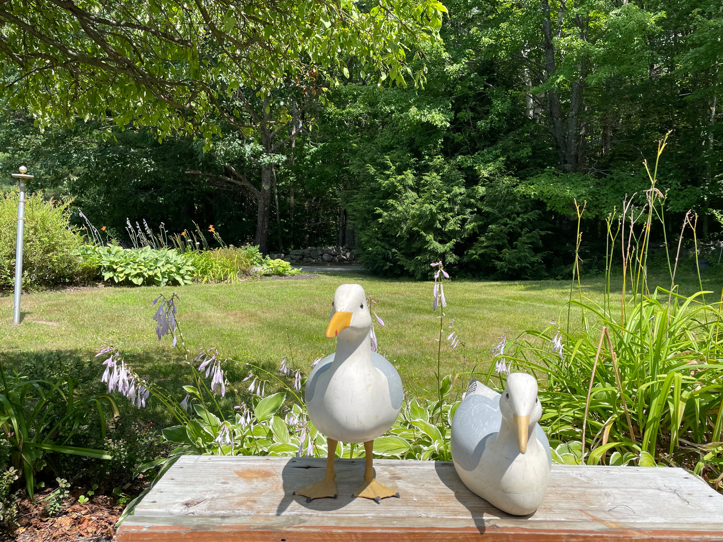 Pair of Wild Fowler Seagull Confidence Decoys 1960s