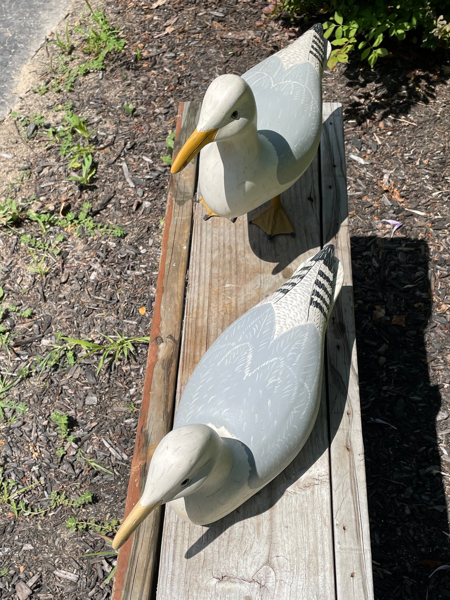 Pair of Wild Fowler Seagull Confidence Decoys 1960s